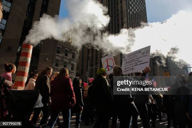 People participate in the Women's March in New York City, January 20 as protestors took to the streets en masse across the United States, hoisting...