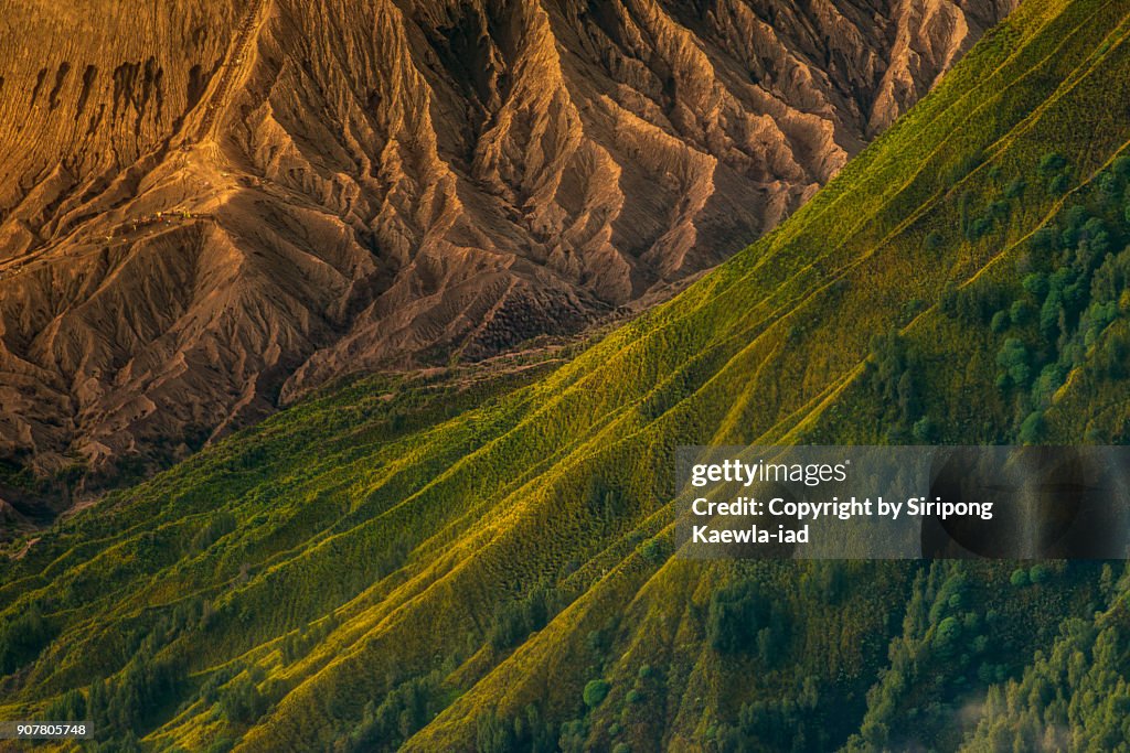 Close up of the volcano ridges of Batok and Bromo volcanoes,  Indonesia.