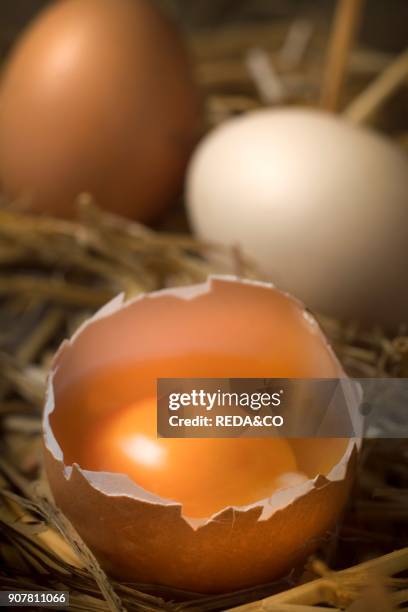 Open eggs on straw. Sicily. Italy. Europe.