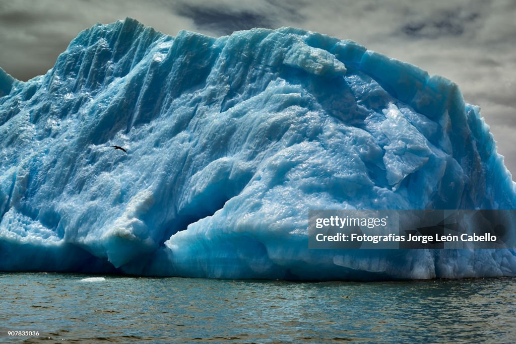 Icebergs as blue giants floating in glacier San Rafael lake