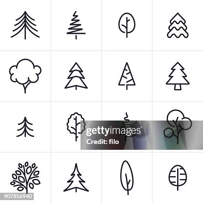 Baum und immergrünen Icons und Symbole Baum und immergrünen Icons und Symbole