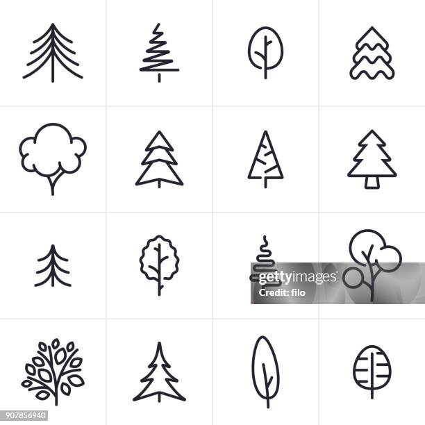 illustrations, cliparts, dessins animés et icônes de arbre et feuillage persistantes icônes et symboles - pine trees