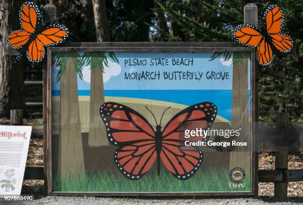 The entrance to the Pismo State Beach Monarch Butterfly Grove is viewed on January 17 in Pismo Beach, California. With its close proximity to...