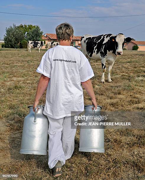 French milk producer Annick carrying churns is seen with her cattle, Prim'Holstein cows, in Sainte-Colombe-en-Bruilhois, southwestern France, on...