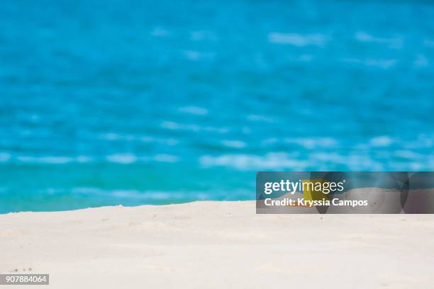 sandy beach with shovel and pail - beach shovel stockfoto's en -beelden