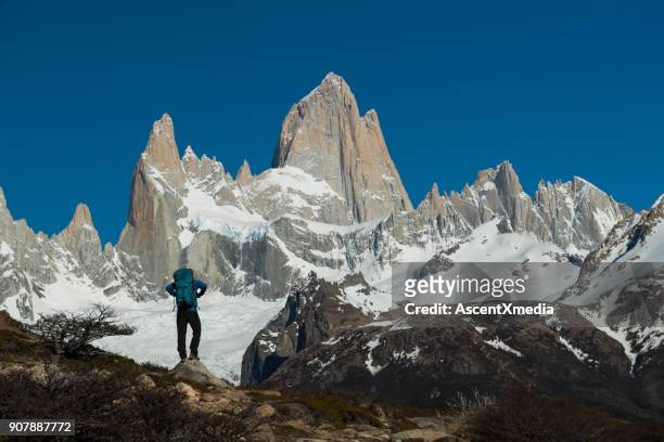 mount fitz roy im nationalpark los glaciares - berg cerro fitzroy stock-fotos und bilder