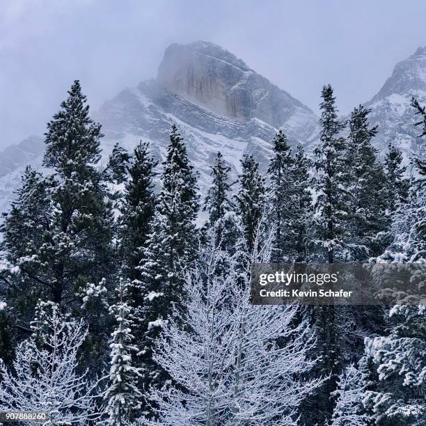 mt. wilson in winter, saskatchewan river valley, canadian rockies, alberta - saskatchewan river stock pictures, royalty-free photos & images