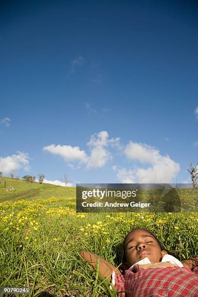 girl laying in field of flowers. - anaehoomalu bay stockfoto's en -beelden