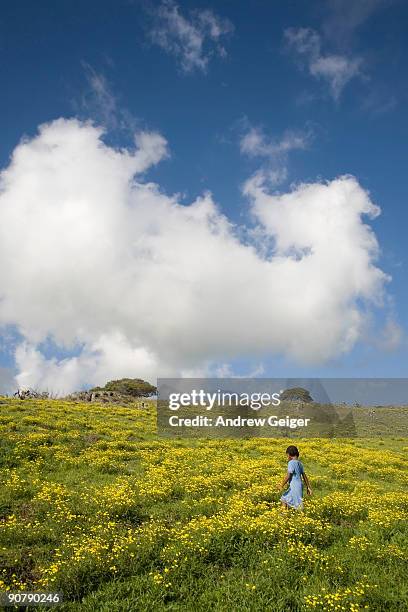 young girl running in grassy field. - anaehoomalu bay stockfoto's en -beelden