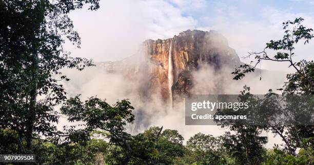 salto angel, parque nacional canaima, venezuela - angel falls fotografías e imágenes de stock