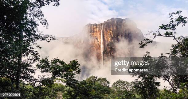 angel falls, canaima national park, venezuela - angel falls stock pictures, royalty-free photos & images