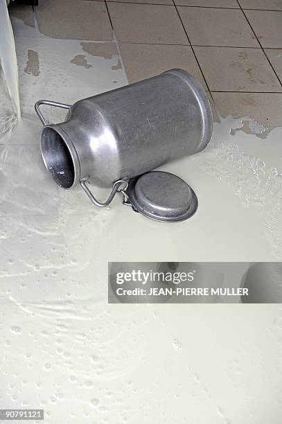 Milk producer has dumped milk in her dairy farm in Sainte-Colombe-en-Bruilhois, southwestern France, on September 15 to protest against European...