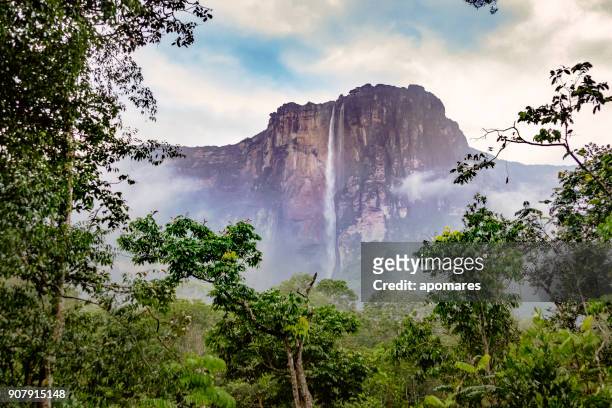 angel falls, nationaal park canaima, venezuela - venezuela stockfoto's en -beelden