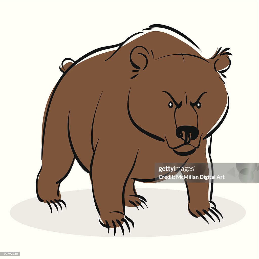 Bear