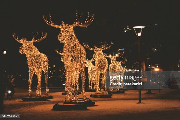 christmas moose floc made of led light - santa and rudolph stock pictures, royalty-free photos & images