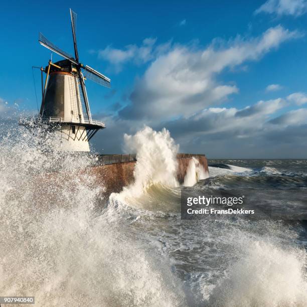 storm on the dutch coast - high tide stock pictures, royalty-free photos & images
