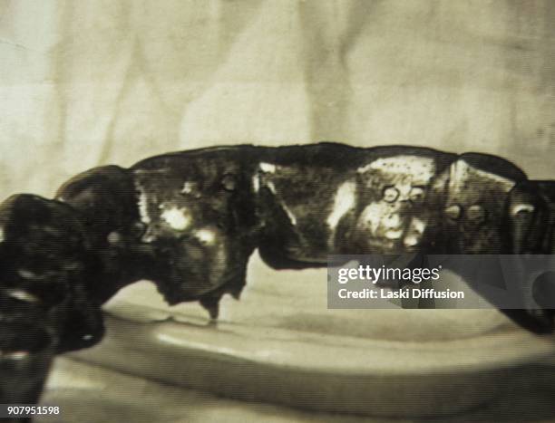 Hitler's jawbone is kept at the Federal Security Service of the Russian Federation archive from the end of the World War II and seems to be the only...