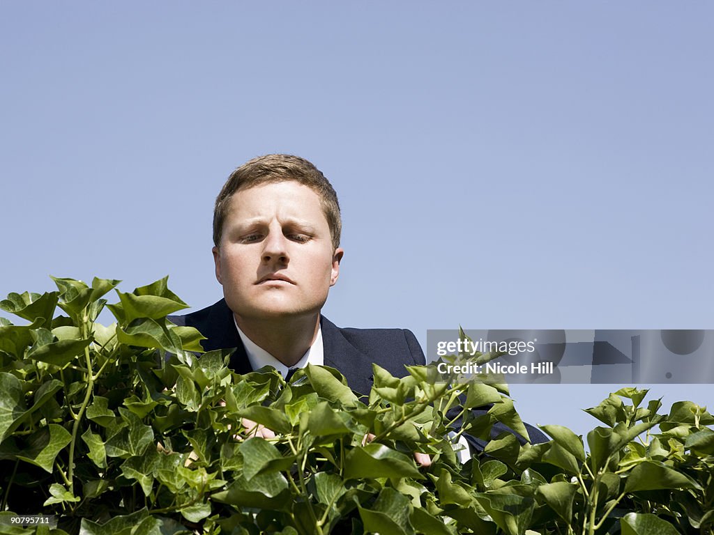 Man looking over a hedge