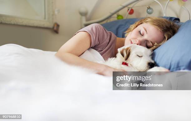 young woman cuddling up to dog in bed - sleeping dog stock pictures, royalty-free photos & images