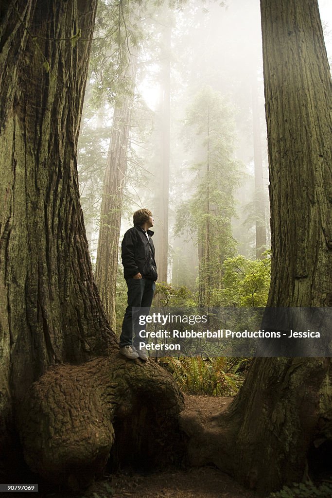 Man standing in between two giant redwoods in the forest