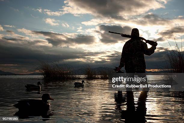 man out hunting - water bird imagens e fotografias de stock