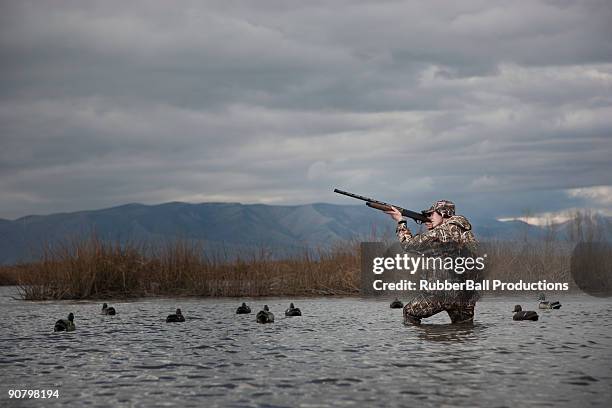 man out hunting - springville utah stock pictures, royalty-free photos & images