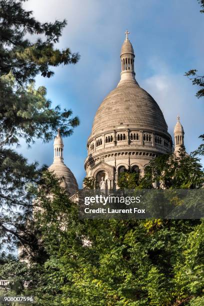 montmarte basilique - arbre coeur stock pictures, royalty-free photos & images