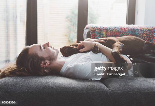 teen napping on the sofa with dog - dog resting stock pictures, royalty-free photos & images