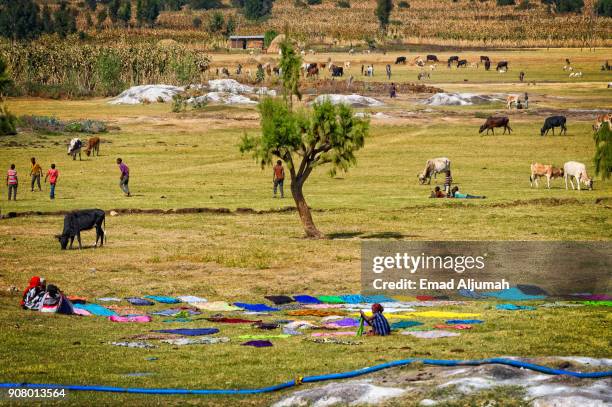 daily life in rural ethiopia - december 7, 2017 - landry feilds stock pictures, royalty-free photos & images