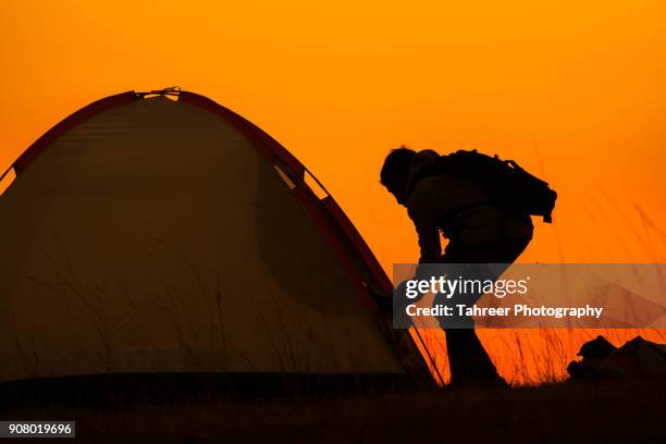 silhouette of a backpacker opening the camp - guy rope stock pictures, royalty-free photos & images