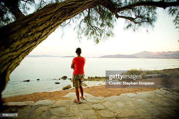 woman looking out at bay from stone patio - steinterrasse stock-fotos und bilder