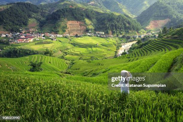 the pearl of north vietnam - ao dai stockfoto's en -beelden