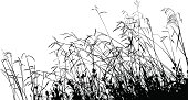 Meadow Grass Silhouette