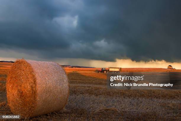 industrial agriculture - stubble stock-fotos und bilder