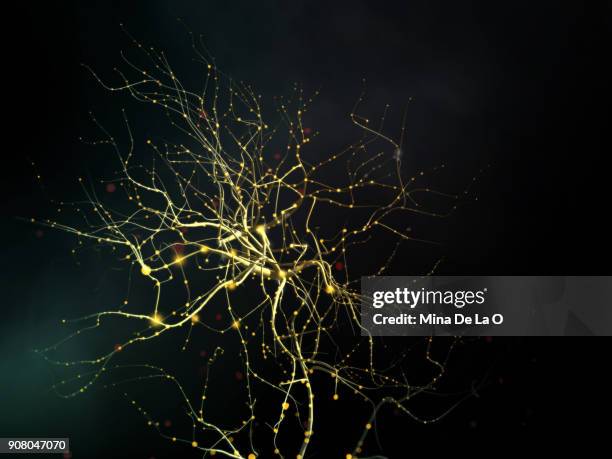 neuronal - célula nerviosa fotografías e imágenes de stock