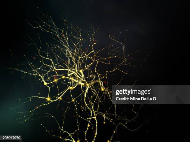 neuronal - neurons fotografías e imágenes de stock