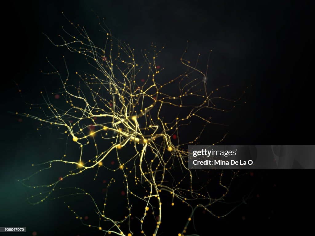 Neuronal