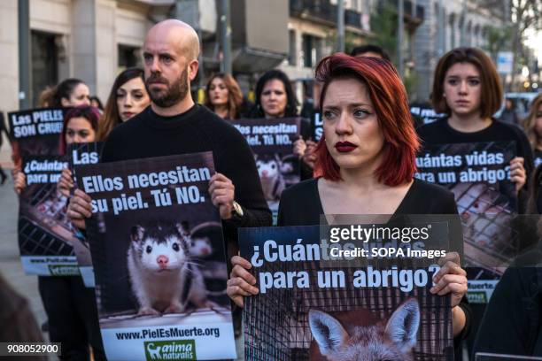 Group of animal rights activists stand in silence with posters in hand. Organized by Animal Naturalist, an organization for the defense of all...