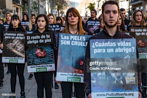 Group of animal rights activists stand in silence with posters in hand. Organized by Animal Naturalist, an organization for the defense of all...