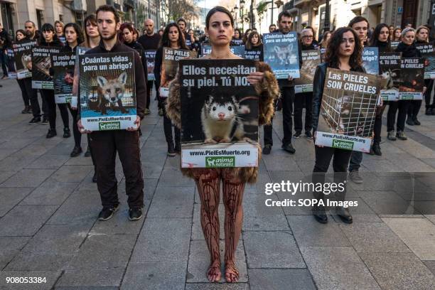 Group of animal rights activists stand in silence with posters in hand. Organized by Animal Naturalist, an organization for the defense of all...