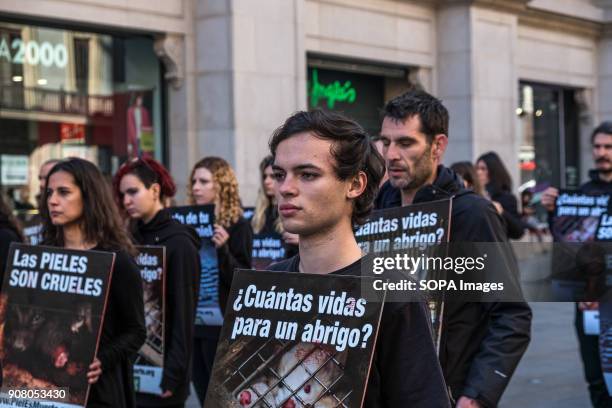 Group of animal rights activists stand in silence with posters in hand. Organized by Animal Naturalist, an organization for the defense of all...