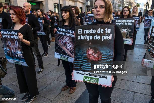 Group of animal rights activists stand in silence with posters in hands. Organized by Animal Naturalist, an organization for the defense of all...