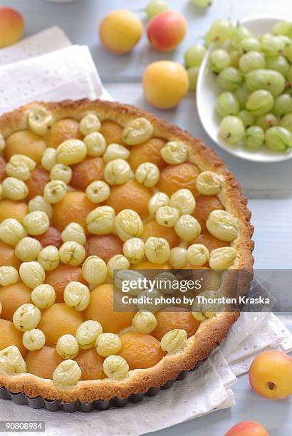 apricot gooseberry cake - gooseberry cake stock pictures, royalty-free photos & images