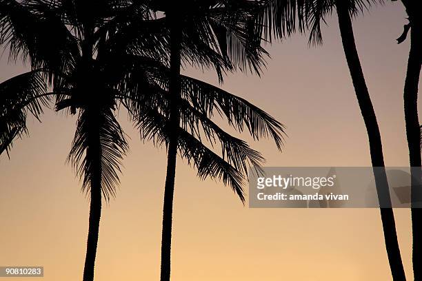 sunset - forte beach ストックフォトと画像