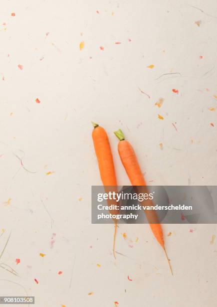 two carrots. - carotine stock-fotos und bilder