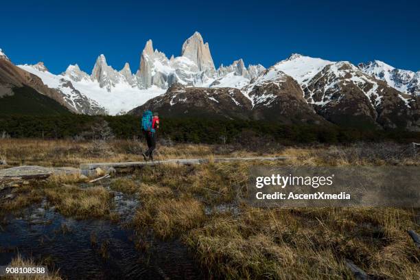 hiking in los glaciares national park - chalten stock pictures, royalty-free photos & images