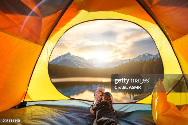 landscape with mountain and lake - lake louise stock pictures, royalty-free photos & images