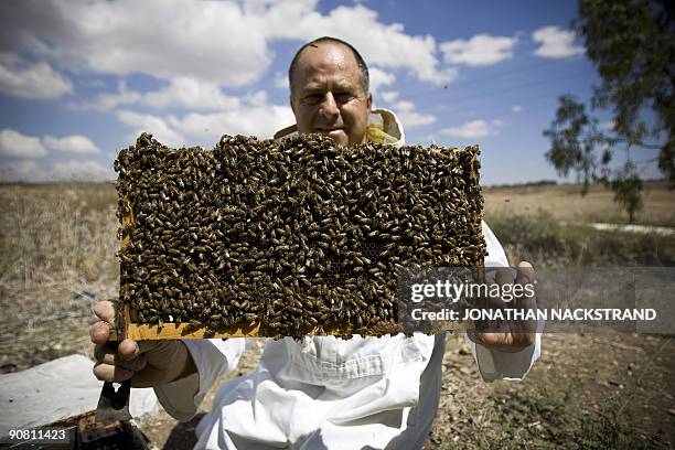 Gavin Rabinowitz 1,154 The Story Of Ruth Stock Photos, High-Res Pictures, and Images ...