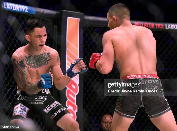 Aaron Pico defeated Shane Kruchten by knockout in the first round of their Featherweight fight at Bellator 192 at The Forum on January 20, 2018 in...