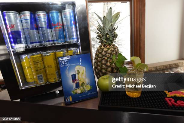 View of the Red Bull cocktail at WanderLuxxe House presents "Women in Film" panel moderated by SagIndie's Darrien Michelle Gipson on January 20, 2018...